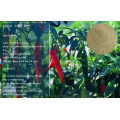 Plant Source Soluble Free Amino Acid Fertilizer